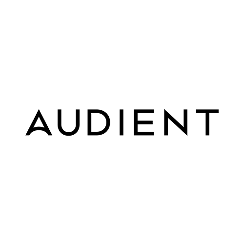 تاریخچه شرکت آدینت Audient