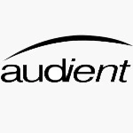 درایور و راه انداز AUDIENT ID