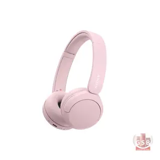 هدفن بلوتوث سونی Sony WH-CH520