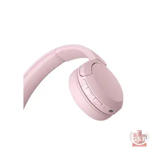 هدفن بلوتوث سونی Sony WH-CH520