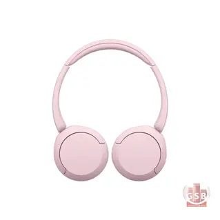 هدفن بلوتوث سونی Sony WH-CH520