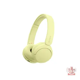 هدفن بلوتوث سونی Sony WH-CH520