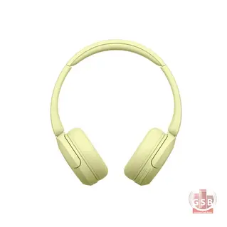 هدفن بلوتوث سونی Sony WH-CH520