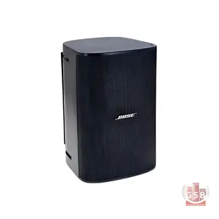 بلندگوی دیواری بوز Bose DM6SE