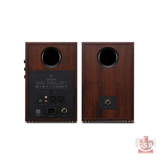 اسپیکر بوکشلف سوان اکتیو Swan Active Bookshelf Speaker D200