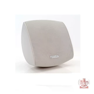 بلندگوی دیواری دکوراتیو اکلر ecler AUDEO 108