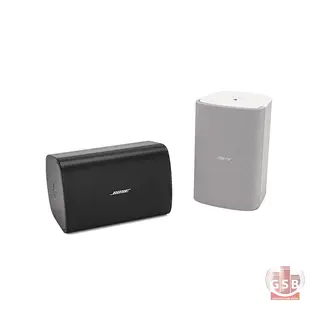 بلندگوی دیواری دکوراتیو بوز Bose FS4SE