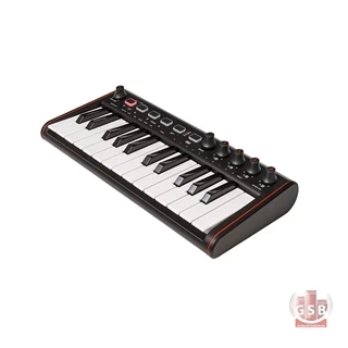 میدی کنترلر آی کی مواتی مدیا IK Multimedia IRIG Keys 2 Mini