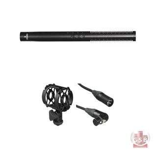 میکروفن شات گان رود Rode NTG 4 Plus