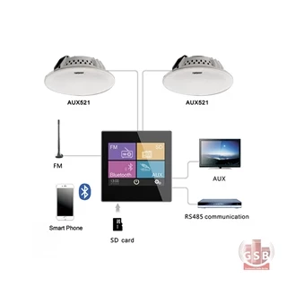 آمپلی فایر دیواری هوشمند آی یو ایکس دیو AuxDio DM837