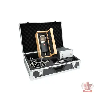 میکروفون استودیو اس ای الکترونیک sE Electronics Gemini II