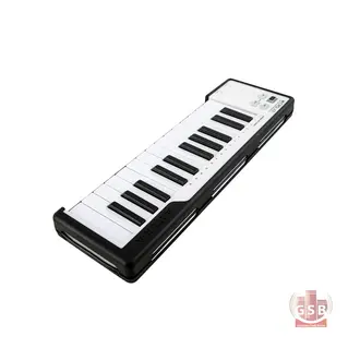 میدی کنترلر آرتوریا Arturia MicroLab 25 Black