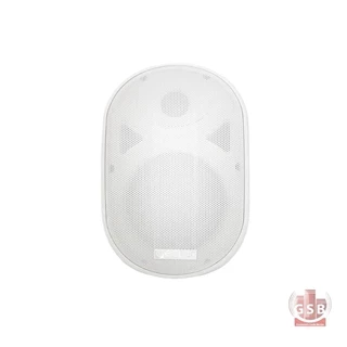 بلندگوی دیواری دکوراتیو اکلر ecler eCURVE104