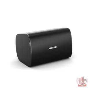 بلندگوی دیواری بوز Bose DM6SE
