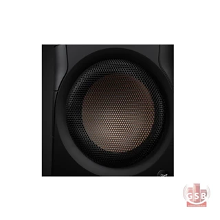 اسپیکر اکتیو بوکشلف سوان Swan D300