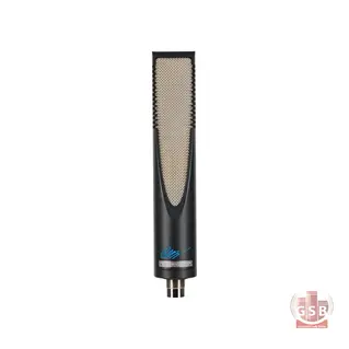 میکروفون استودیویی اس ای الکترونیک sE Electronics RNR1