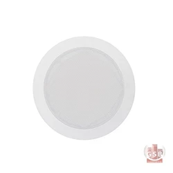 بلندگوی سقفی اکلر ecler elC52